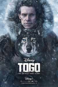 Того (2019) онлайн бесплатно