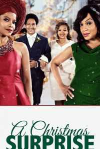 A Christmas Surprise (2020) онлайн бесплатно