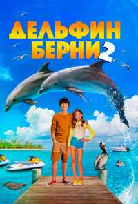 Дельфин Берни 2 (2019) онлайн бесплатно
