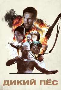 Дикий пёс (2017) онлайн бесплатно