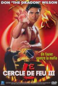 Огненное кольцо 3: Удар льва (1994) онлайн бесплатно