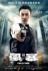 Огненная буря (2013) онлайн бесплатно