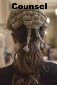 Counsel (2019) онлайн бесплатно