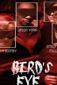 Bird's Eye онлайн бесплатно