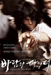 Воин ветра (2004) онлайн бесплатно