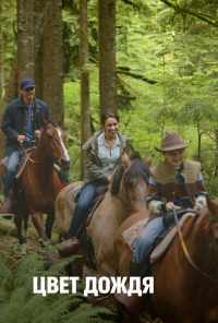 Цвет дождя (2014) онлайн бесплатно