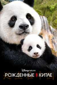 Рождённые в Китае (2016) онлайн бесплатно