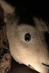 смотреть Maria's Tale (2018) онлайн бесплатно в хорошем качестве без регистрации