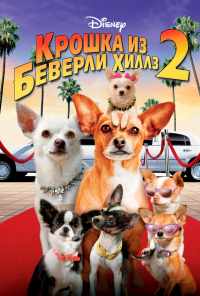 Крошка из Беверли-Хиллз 2 (2010) онлайн бесплатно