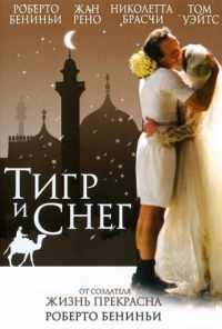 Тигр и снег (2005) онлайн бесплатно