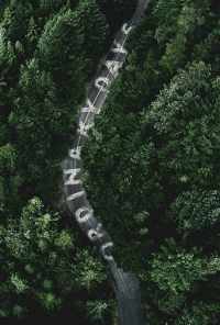 Обычные дни (2017) онлайн бесплатно