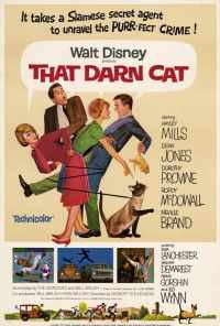 Эта дикая кошка (1965) онлайн бесплатно