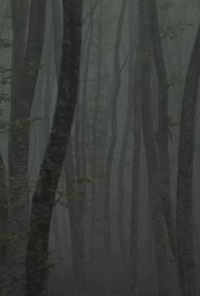 Katafigio II: The Ice Path (2018) онлайн бесплатно