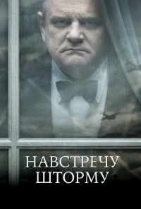 Навстречу шторму (2009) онлайн бесплатно