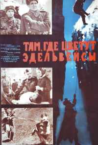 Там, где цветут эдельвейсы (1965) онлайн бесплатно