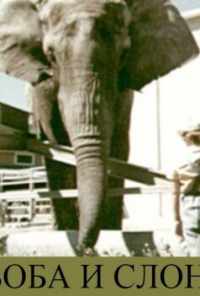 Боба и слон (1972) онлайн бесплатно