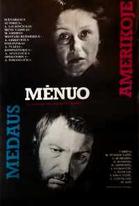 Медовый месяц в Америке (1981) онлайн бесплатно