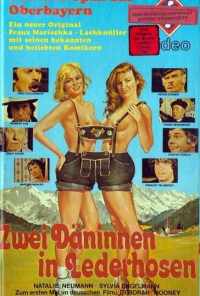 Две датчанки в кожаных штанах (1979) онлайн бесплатно