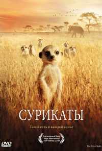 Сурикаты (2007) онлайн бесплатно