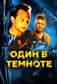 Один в темноте (2004) онлайн бесплатно