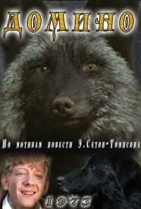 Домино (1973) онлайн бесплатно