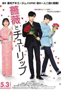 смотреть Роза и тюльпан (2019) онлайн бесплатно в хорошем качестве без регистрации