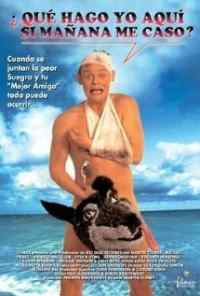 смотреть Особенности холостяцкой вечеринки (1994) онлайн бесплатно в хорошем качестве без регистрации