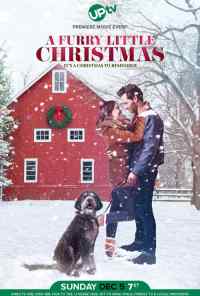 Маленькое пушистое Рождество (2021) онлайн бесплатно