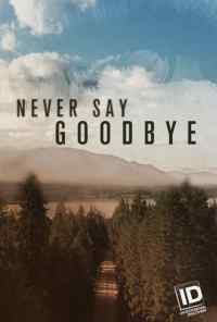 Never Say Goodbye (2019) онлайн бесплатно