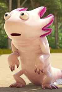 Отряд джунглей спешит на помощь (2011) онлайн бесплатно