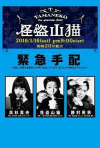 смотреть Призрачный вор Яманэко (2016) онлайн бесплатно в хорошем качестве без регистрации