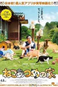 Дом кошек (2017) онлайн бесплатно