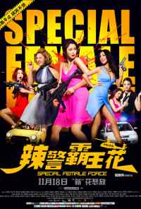 Специальный женский отряд (2016) онлайн бесплатно